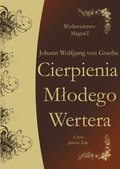 Cierpienia Młodego Wertera - audiobook