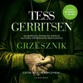 Grzesznik - audiobooki