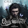 Quicksilver - audiobooki