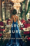 Wśród burz - ebooki