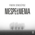 Niespełnienia - audiobook