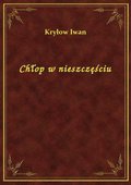 Chłop w nieszczęściu - ebook