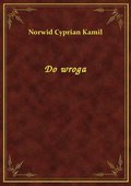 Do wroga - ebook