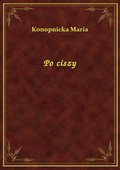 Po ciszy - ebook