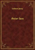 Pożar lasu - ebook