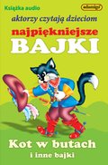 Dzikie gęsi - audiobooki