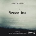 Szczelina - audiobooki