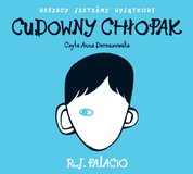 : Cudowny chłopak - audiobook