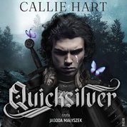 : Quicksilver - audiobooki