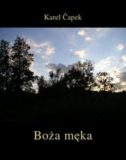 : Boża męka - ebooki