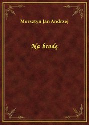 : Na brodę - ebook