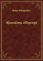 : Niewidomy chłopczyk - ebook