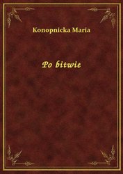 : Po bitwie - ebook