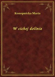 : W cichej dolinie - ebook