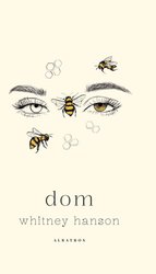 : Dom - ebook