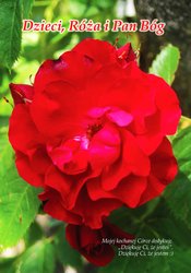 : Dzieci, Róża i Pan Bóg - ebooki