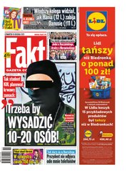 : Fakt - e-wydanie – 293/2025